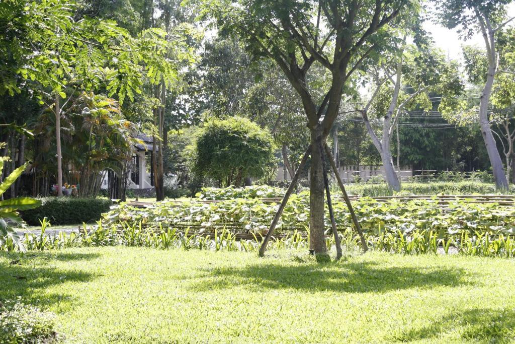 Narittaya Resort And Restaurant Chiang Mai Eksteriør bilde